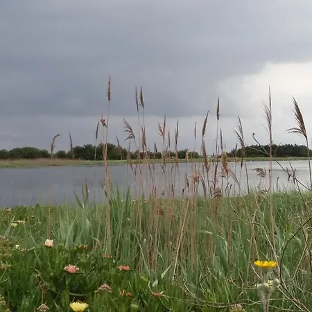 Bed and breakfast Sea House 4*