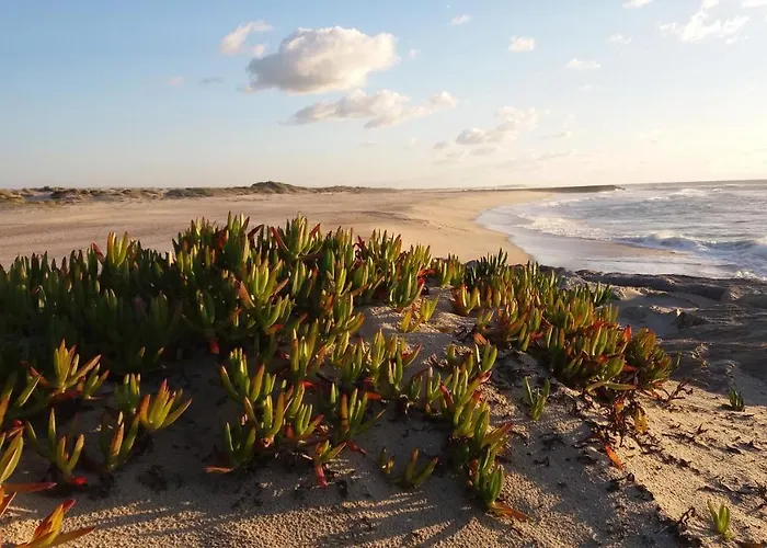 Sea House 4* كوستا نوفا