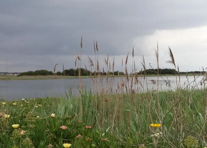 Bed & Breakfast Sea House 4*